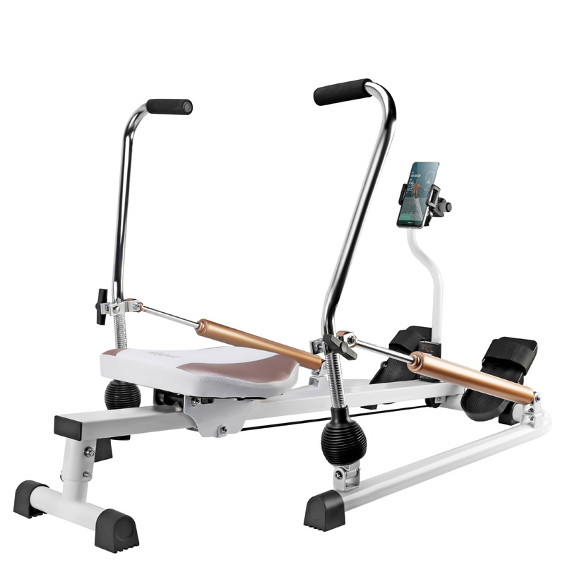 Máquina de Remo Magnética Sile - Home Gym In Apartment avaliação e preço